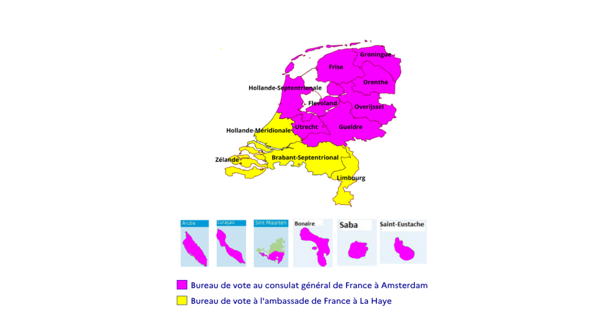 Carte des zones de vote aux Pays-Bas : zone violette pour Amsterdam, zone jaune pour La Haye